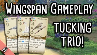 The Full Tuck Of Dreams! | Wingspan Gameplay