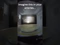 Microwave vs Mozarella