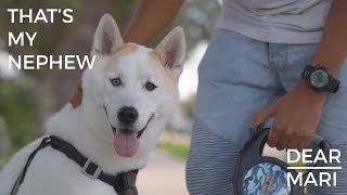 Dear Mari feat. Unknuxn - That's My Nephew - (Official Music Video)