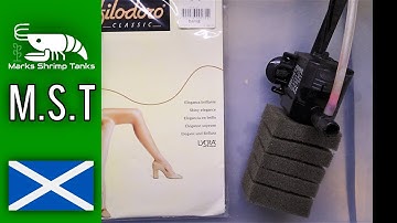 Protect Baby Shrimp! DIY Shrimp Safe Filter Hack Using Tights