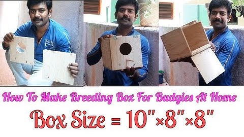 How to make Budgies Nesting box at home.Easy way to make wooden breeding box #Budgies#breeding#wood