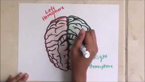 Julia & Samantha   Localization of Function