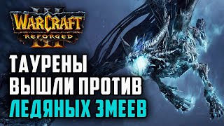:     : Simmons (UD) vs StromWc3 (Orc) Warcraft 3