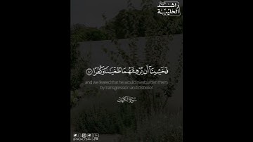 ﴿وأما الغلام فكان أبواه مؤمنين فخشينا أن يرهقهما طغيانا وكفرا﴾ | القارئ: راشد الحليبة