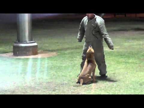 Obi- Decoy Takedown "Escort"