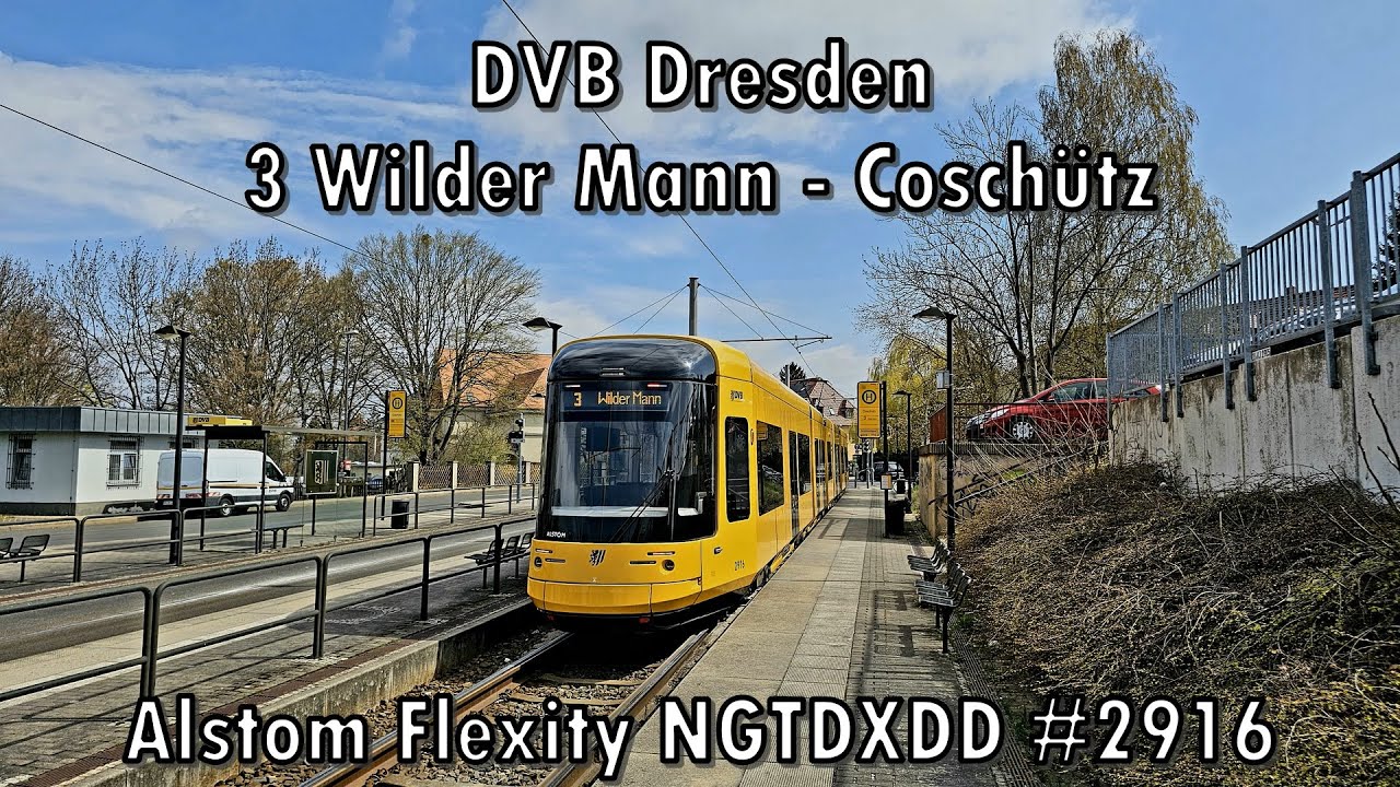 DVB Dresden - Linie 3, Alstom Flexity NGTDXDD #2916