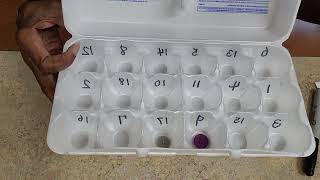 Quick Tip- Egg Carton Math Facts Game
