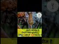 New Fact Amezing video
