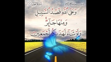 سورة النحل الآية ( 9 )