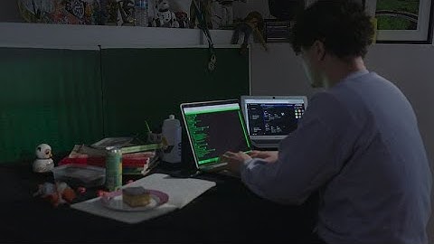 Qui sont ces pirates informatiques néophytes appelés script kiddies ?