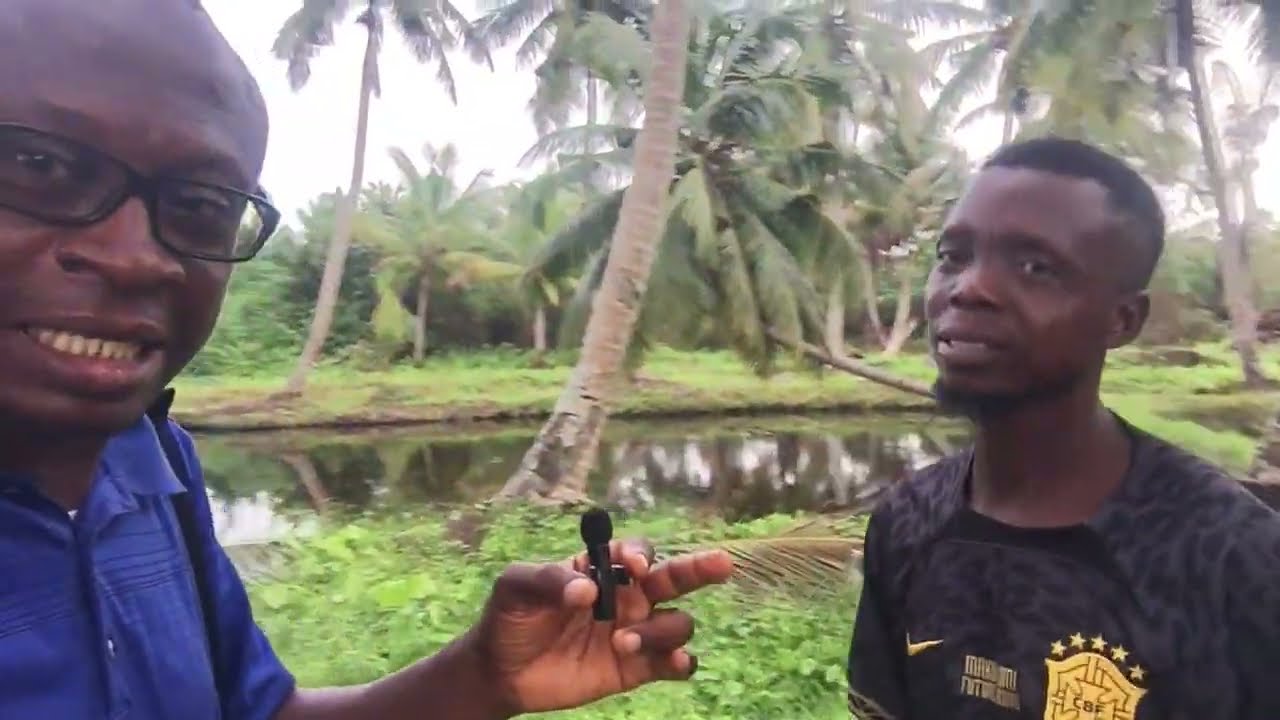 Earthen fishpond in cool environment