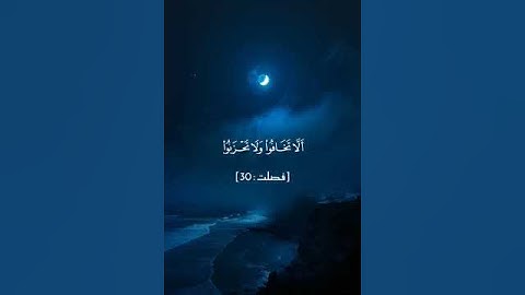 راحة نفسية ♥️🌨️#قران كريم بصوت القارئ ياسر الدوسري#حالات واتس اب#تلاوة هادئة ومريحة جدا