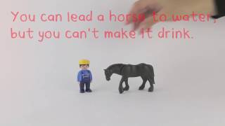 Understanding the logical framework approach: you can lead a horse to water.