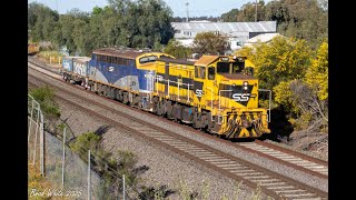 T381 & B76 on 9086 SSR workshops transfer at Golden Square- 28/10/25