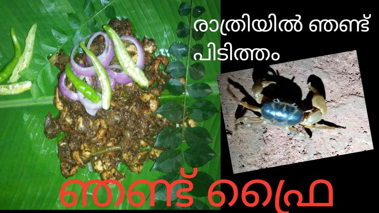 Unique way of crab catching at night & Cooking