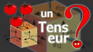 MQD 5 : Tenseur ?