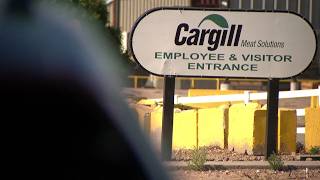 Cargill workers ratify new contract