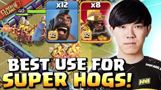 KLAUS finds the PERFECT WAY to use SUPER HOG RIDERS! GENIUS! Clash of Clans
