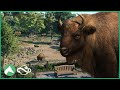 Building a wisent habitat in the elm hill city zoo  planet zoo