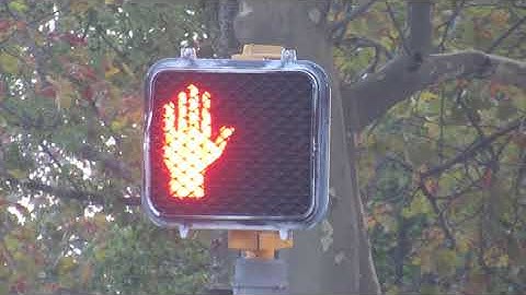 Countdown Walk Signal In NJ