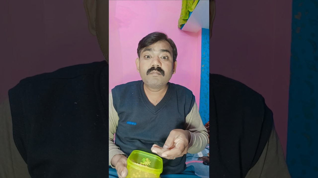 बालूशाही😂😂