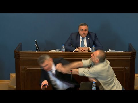 Lawmakers brawl in Georgia's parliament | REUTERS