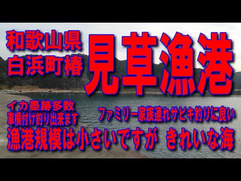 #160和歌山県見草漁港投げサビキ釣り規模は小さいですがきれいな漁港上富田IC国道42号交差点紀勢自動車道無料区間南紀白浜IC国道42号交差点車横付け釣出来ますファミリー家族連れサビキ釣りに良