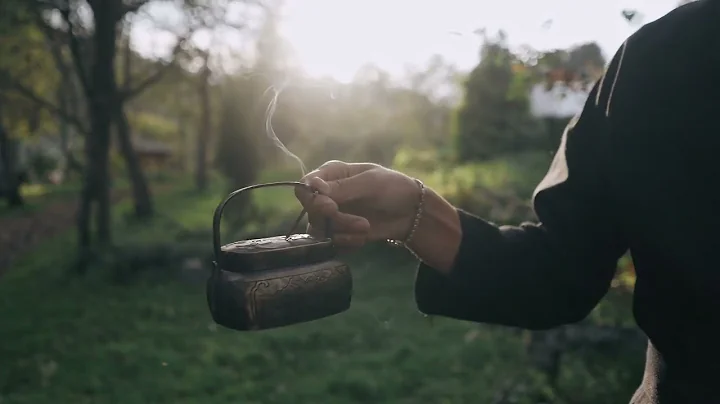 9785924 hd 1920 1080 25fps