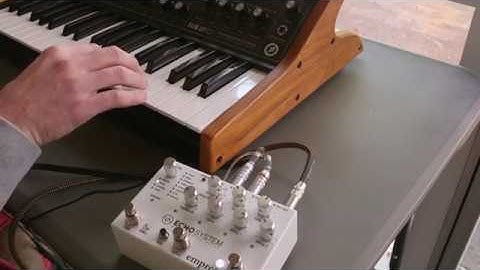 Empress echosystem Space Echo with Moog sub 37