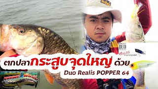 ตกปลากระสูบจุดใหญ่ ด้วย Duo Realis POPPER 64