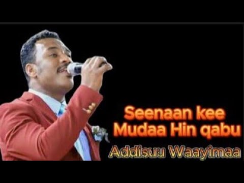 Addisuu Waayimaa Seenaan Kee Mudaa Hin Qabu Ararsamulisamedia