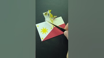 Drawing Philippines flag 🇵🇭#marker#fyp#Asmr#satisfying#next?