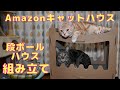 【キャットハウス】猫様達にAmazon爪研ぎ キャットハウスを組み立てました。