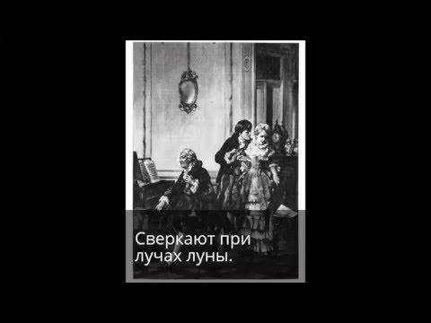 Летняя ночь