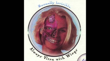 Normally Invisible - Psychotronics (org.)