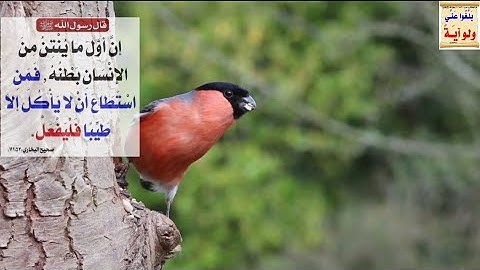 القران الكريم ما تيسر من سورة يونس ماهر المعيقلي holy quran