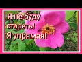 Три морщинки -  подумаешь, трудности !Голос юный, красотка -