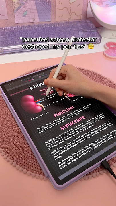 this DESTROYED my pen tips 😱 Samsung galaxy tab S9 | S pen | digital note taking | Penly android app