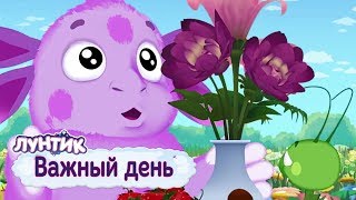 Важный день 🍂 Лунтик 🍁 Сборник мультфильмов 2018