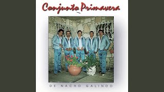 Video thumbnail of "Conjunto Primavera - Si Nos Dejan"