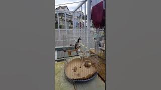 23127909 534248930257505 8152003650437251072 n