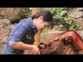 💡Genius Girl Repairs 1990s Diesel Engine For A Shepherd Who Lives In Deep Mountain