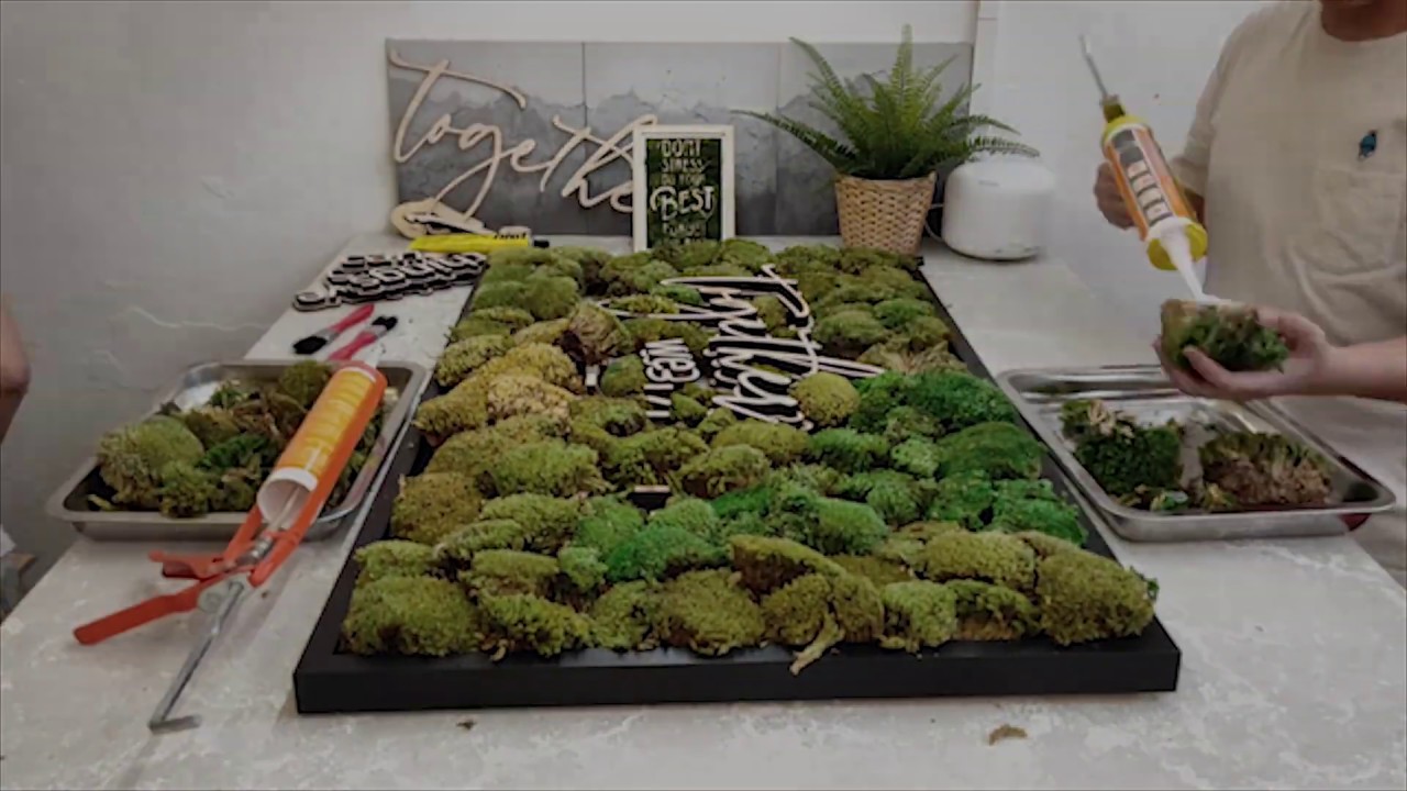 Moss Art YouTube