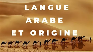 Quelle est l'origine de l'arabe ?