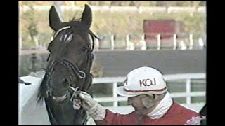 Callit & Karl Olof Johansson vinner Rystadius Fyraåringspris på Solvalla 1985.