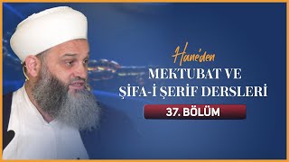 Hane'den Mektubat ve Şifa'i Şerif Dersleri 37. Bölüm - Şefik Kocaman Hocaefendi 