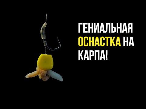 Видео: ГЕНИАЛЬНАЯ ОСНАСТКА С КУКУРУЗОЙ И ОПАРЫШЕМ НА КАРПА И ЛЕЩА! МОНТАЖ /ПОВОДОК ДЛЯ ЛОВЛИ НА ФЛЭТ ФИДЕР!