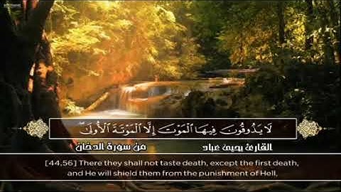 سورة الفجر || قران بصوت القارئ سالم الرويلي || #تلاوات_خاشعة - القران الكريم صوت هادئ