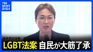 LGBT法案、保守派に“配慮”の修正案を自民が大筋了承　与党だけで提出も辞さない構え｜TBS NEWS DIG