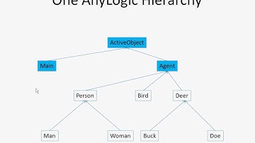 Subtyping & Subclassing [Agent-Based Modeling for Health Policy with AnyLogic]